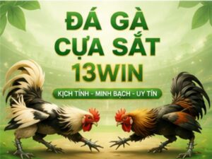 Đá Gà Cựa Sắt 13WIN