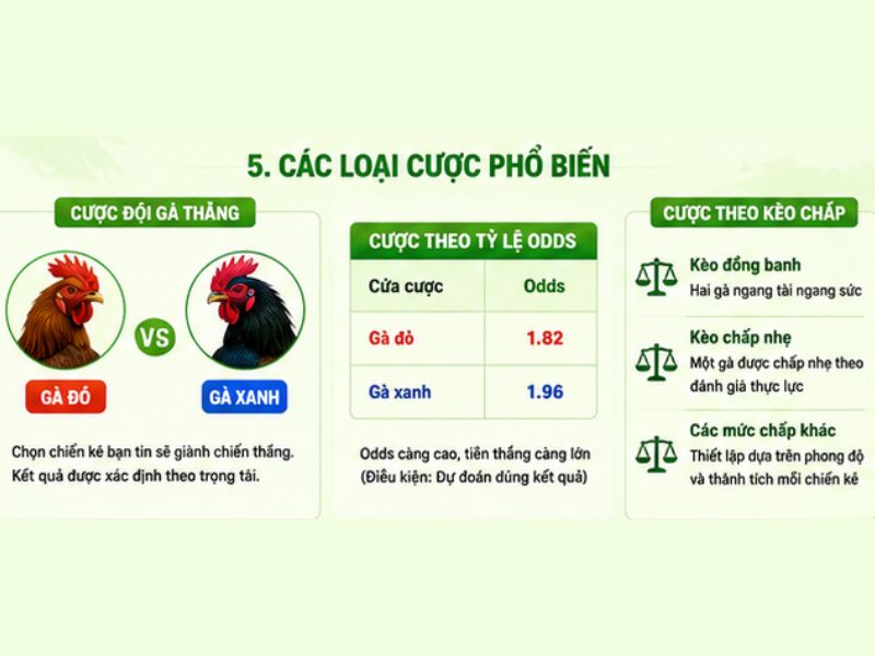 Các Loại Cược Đá Gà Cựa Dao Phổ Biến