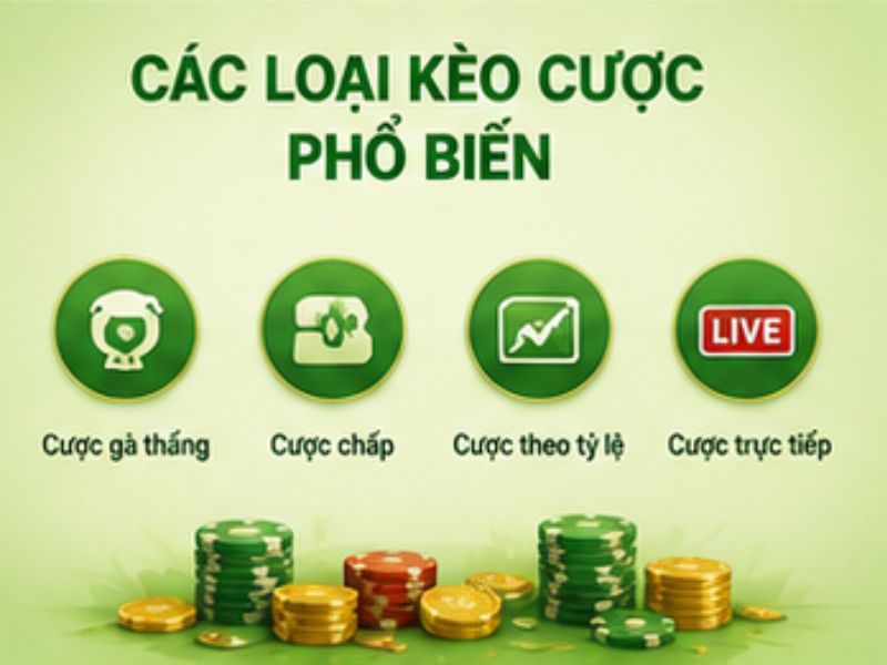 Các Loại Kèo Cược Đá Gà Cựa Sắt 13WIN