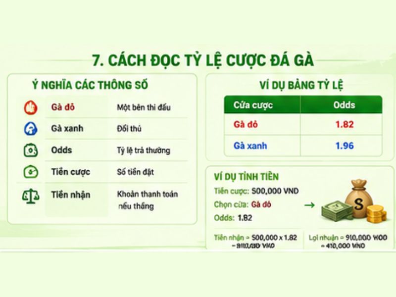 Cách Đọc Tỷ Lệ Cược Đá Gà