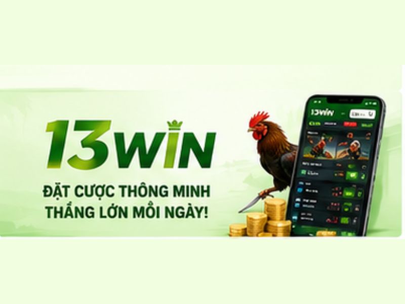 Câu Hỏi Thường Gặp Về Đá Gà Cựa Dao 13WIN (FAQ)