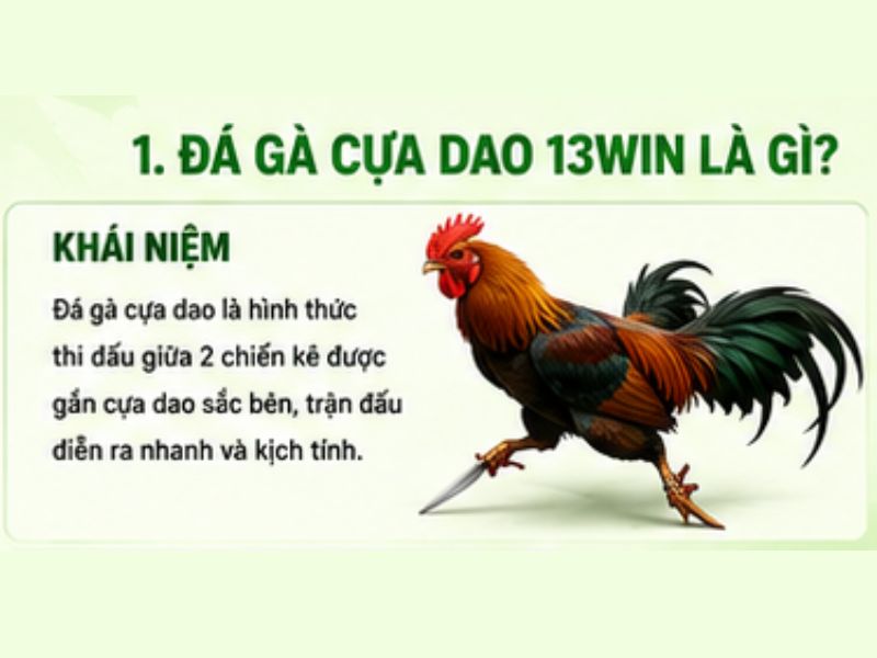 Đá Gà Cựa Dao 13WIN Là Gì?