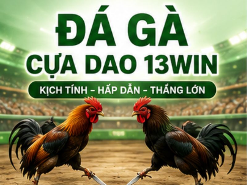 Đá Gà Cựa Dao 13WIN