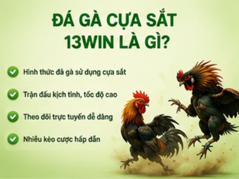 Đá Gà Cựa Sắt 13WIN Là Gì