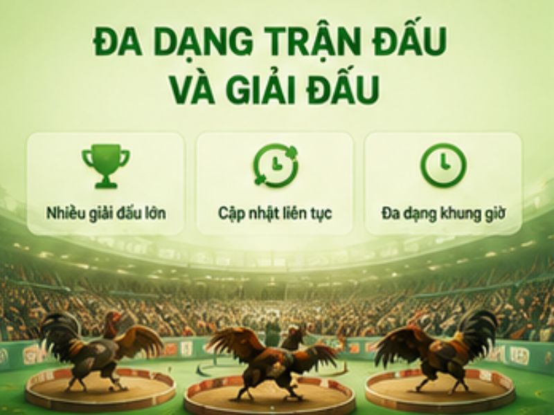 Đa dạng trận đấu và giải đấu