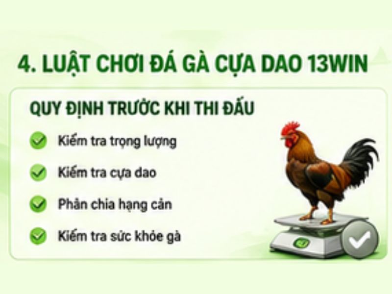 Luật Chơi Đá Gà Cựa Dao Tại 13WIN