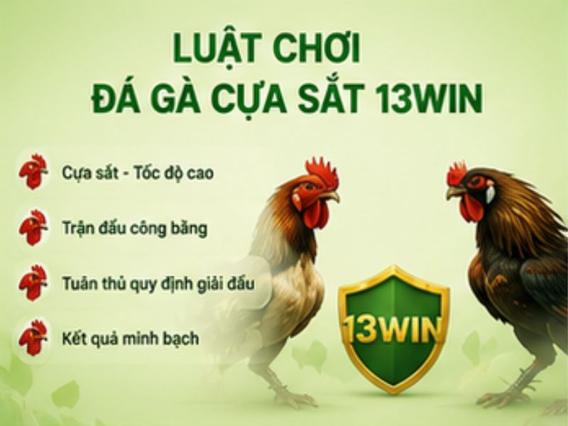 Luật Chơi Đá Gà Cựa Sắt 13WIN