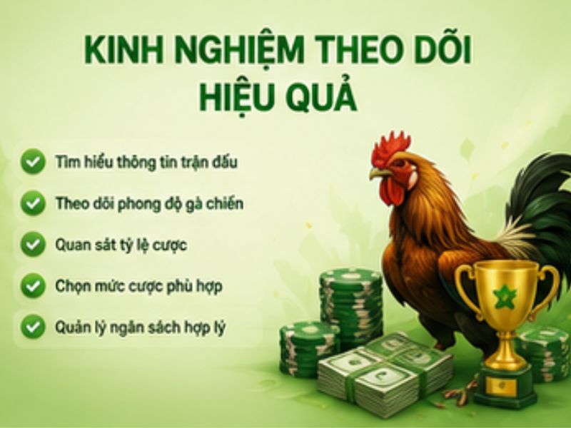 Lưu Ý Khi Theo Dõi Các Trận Đấu Đá Gà 13WIN