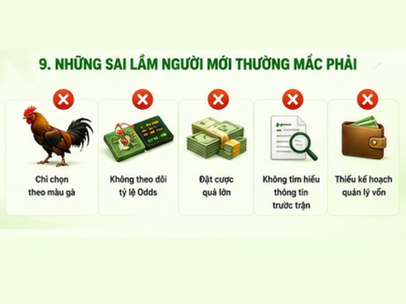 Những Sai Lầm Người Mới Thường Mắc Phải