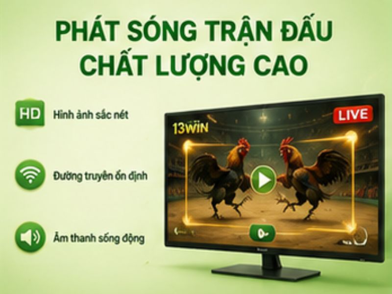 Phát sóng trận đấu chất lượng cao