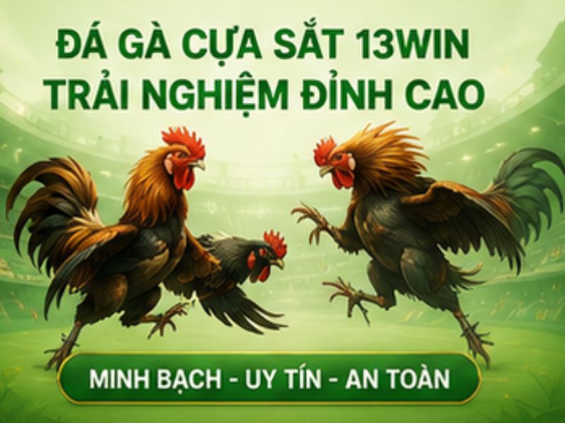 Tham gia một cách có trách nhiệm