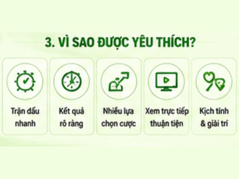 Vì sao đá gà cựa dao thu hút người chơi