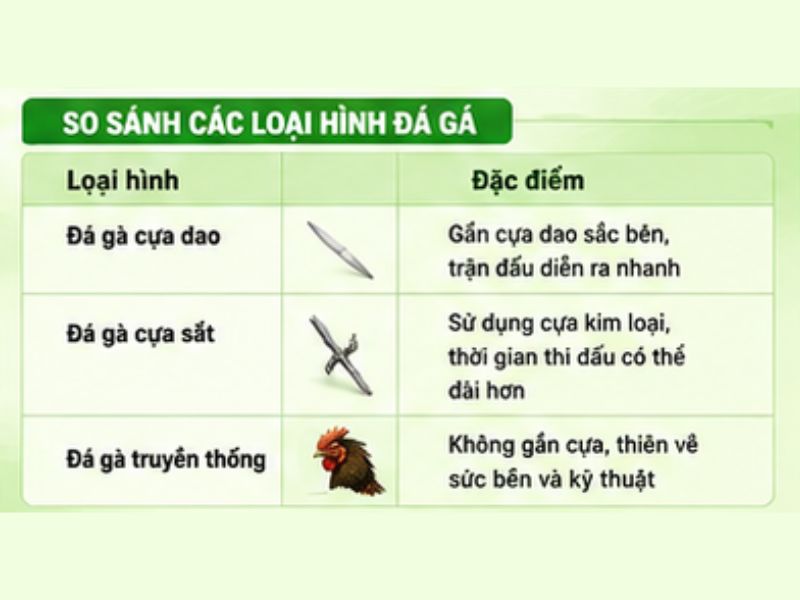 so sánh giữa đá gà cựa dao với một số hình thức phổ biến khác